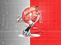 Luis Nani