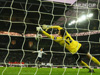 Foster Saves
